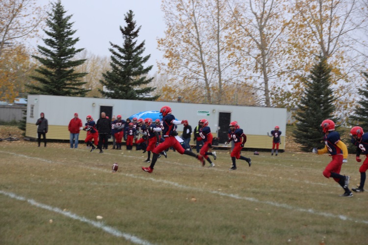 Badger Cards return to Strathmore! Local news