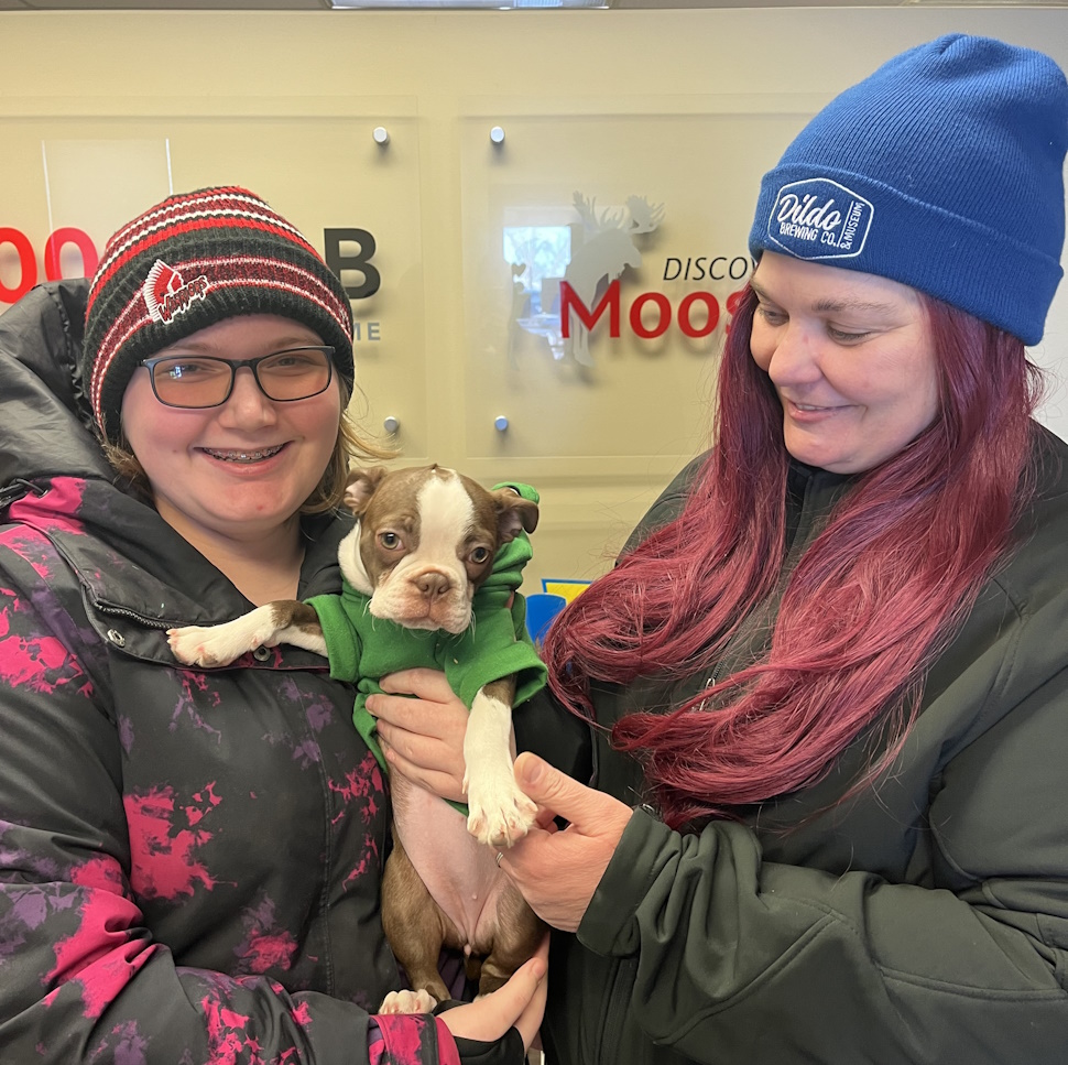 February's Pet Valu Perfect Pet is... Local