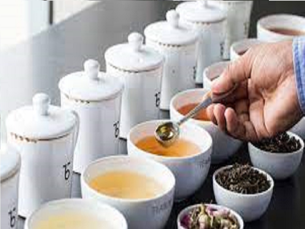 K.B Tea Estate Kaithal Wholesale Tea Suppliers in India