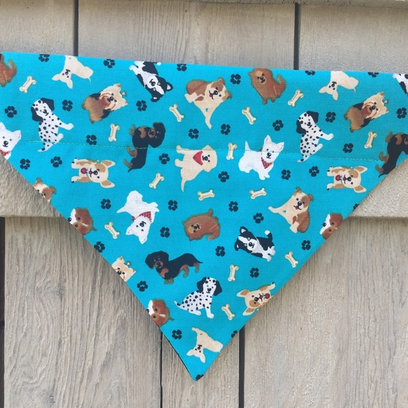 Boston Dog Bandanas Accessories Dog Bandana Bundle Set Of 3 Size