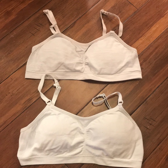 28aa 28 Size Bra The Engineering Internship Cover Letter
