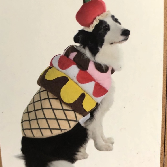 Dog Cone Costume