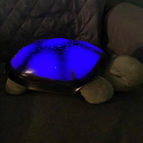 Other Cloud B Light Up Turtle Poshmark
