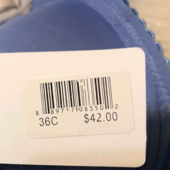 Lepore Intimates & Sleepwear Lepore Pushup