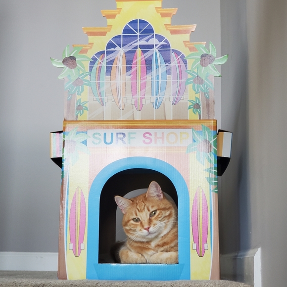 Cat Cat Scratcher Surf Shop Poshmark