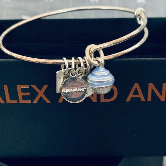 Alex and Ani Jewelry Alex And Ani Cupcake Bangle Poshmark