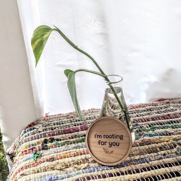handmade Accents Im Rooting For You Erlenmeyer Flask Rooting Vase