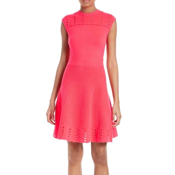 Ted Baker Dresses Ted Baker Zaralie Jacquard Knit Skater Dress 26