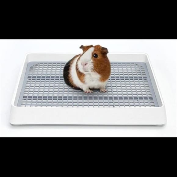 Small Pets Guinea Pig Litter Pan For Cage Guinea Pig Toilet Poshmark