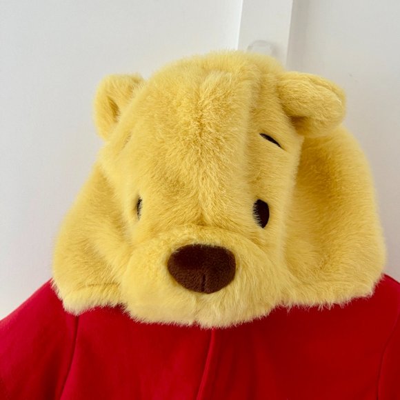 Pottery Barn Kids Costumes Pottery Barn Kids Baby Disney Winnie The