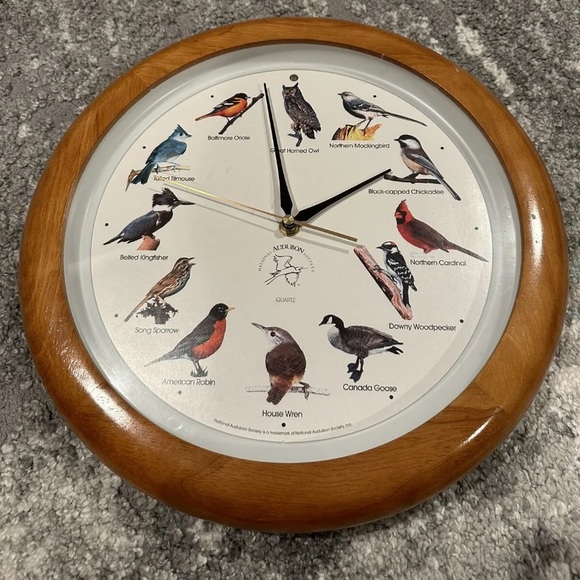 As Seen On TV Wall Decor New National Audubon Society Quartz