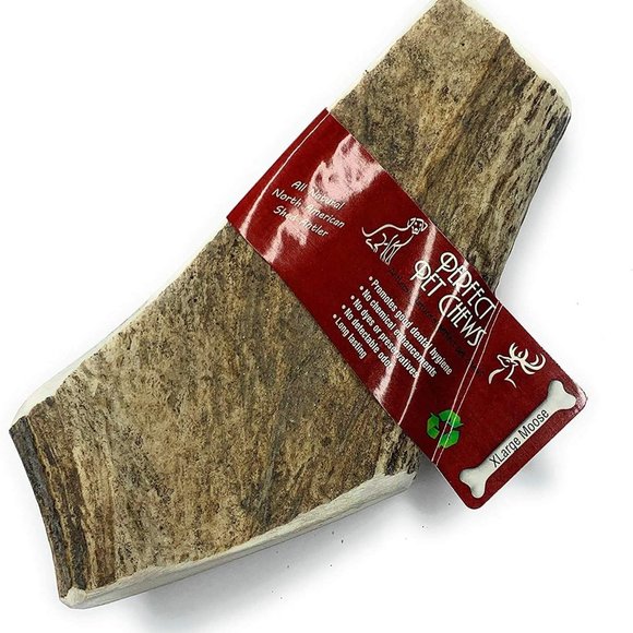 None Dog Perfect Pet Chews Moose Antler Dog Antler Chew Small