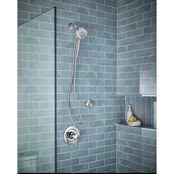 Bath Moen Engage With Ecoperformance Handshower Handheld