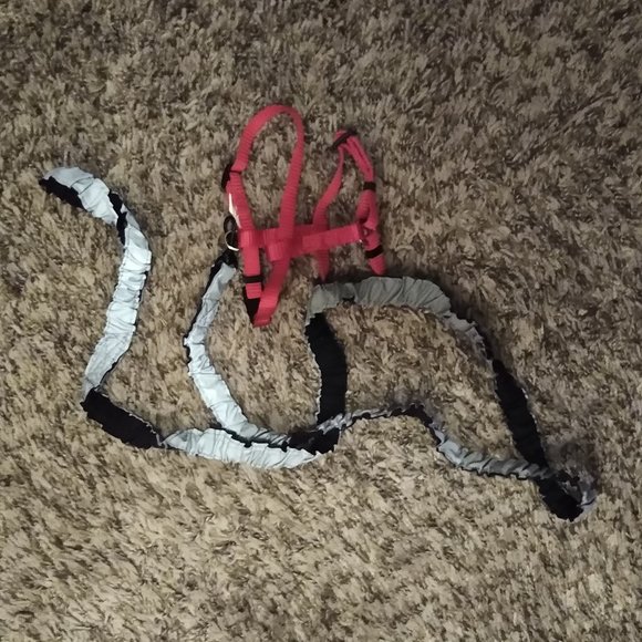 Small Pets Guinea Pig Leashharness Poshmark