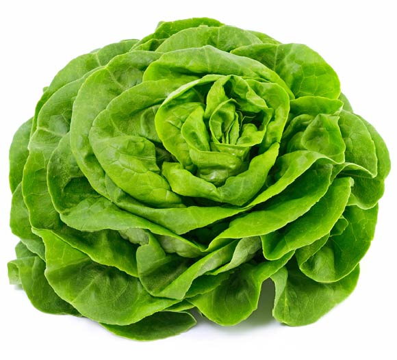 round_lettuce Diabetes Gladiator