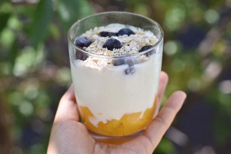 Yogur casero sin azúcar Diabetes Marquez