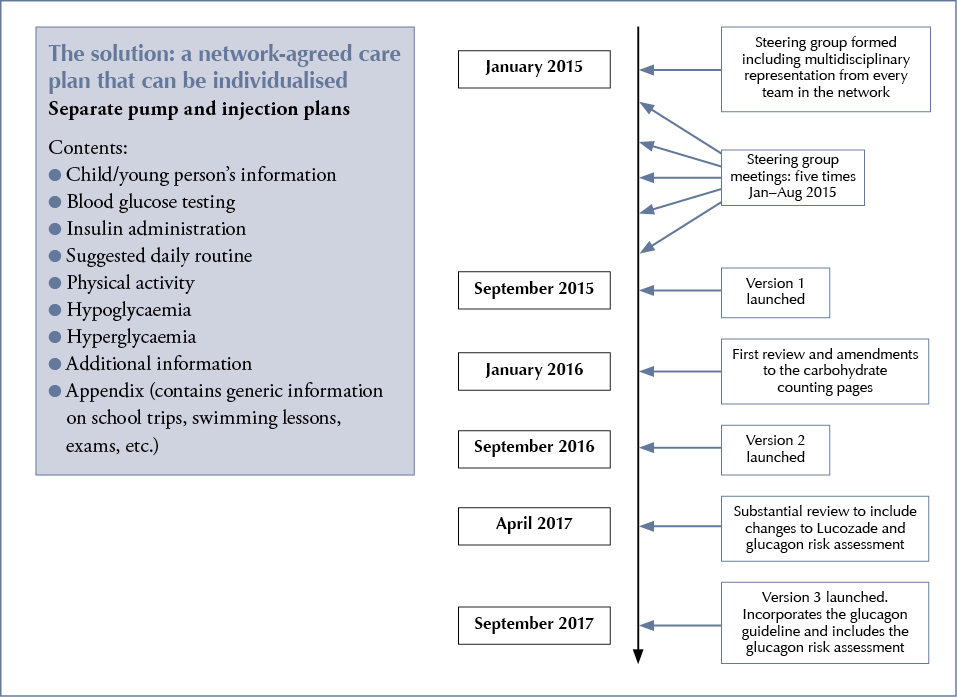 An individualised school care plan with glucagon guideline and risk