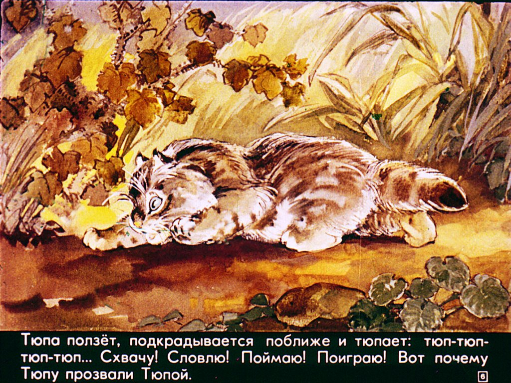 Смотреть диафильм Почему Тюпа не ловит птиц