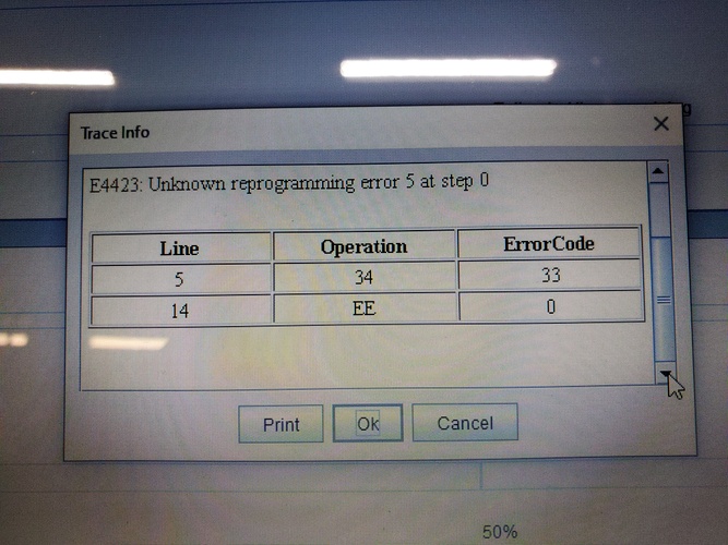 GM ECM Programming Error Diagnostic Network