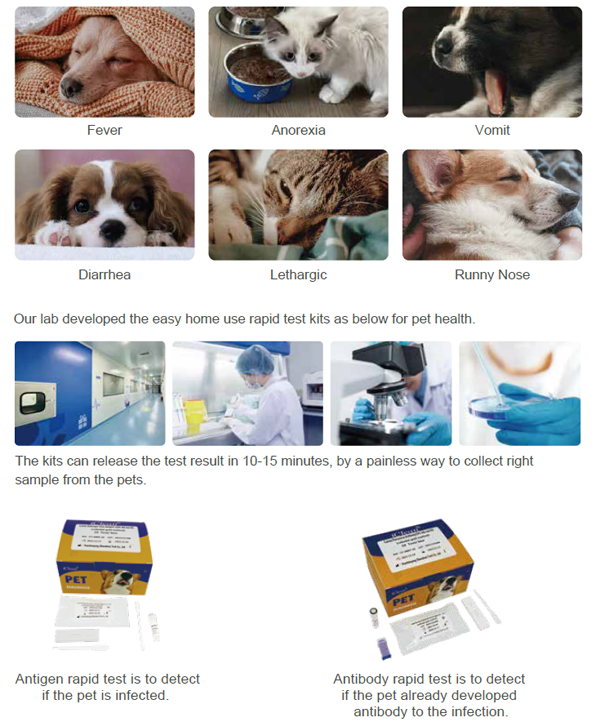 Canine Parainfluenza Virus Antigen (CPIVAg)Test Kit (Colloidal Gold)