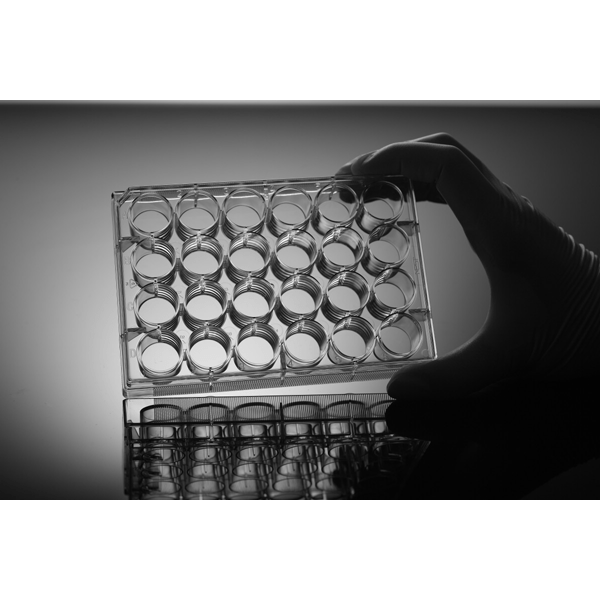 24 Well Cell Culture Plate, Flat, NonTreated, sterile 1/pk, 50/cs, 702011