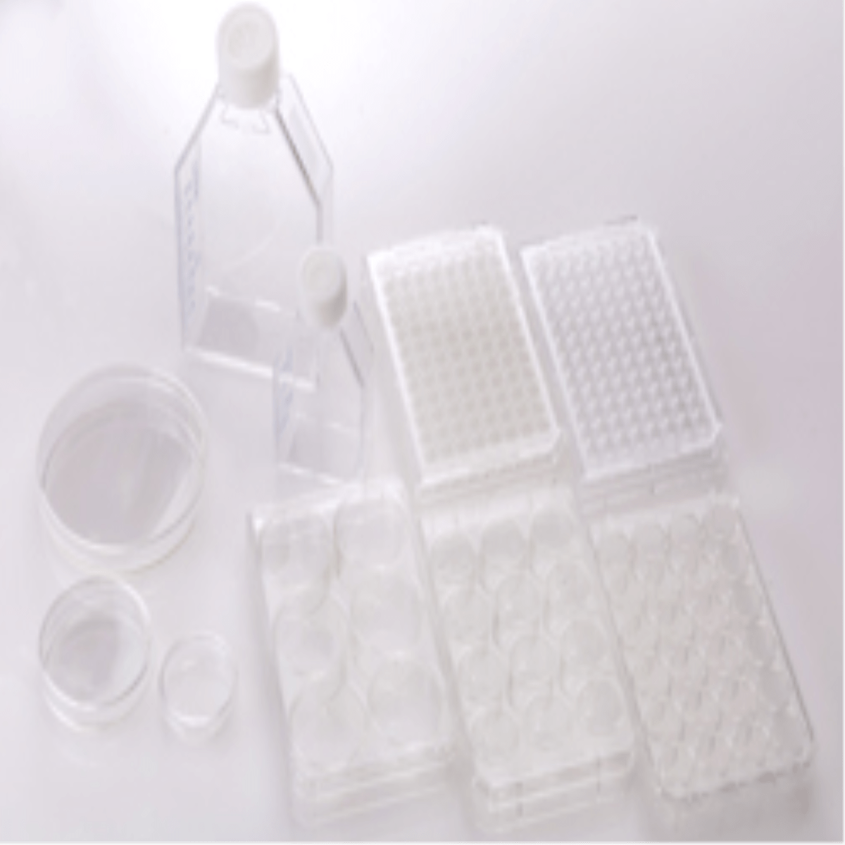 HydroCell, T25 Flask,CSF025