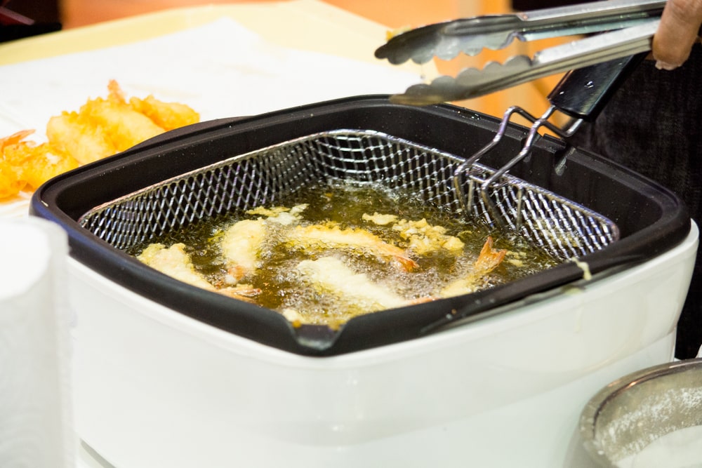 A Guide To Choosing The Best Deep Fryer For You And Some Cooking Tips