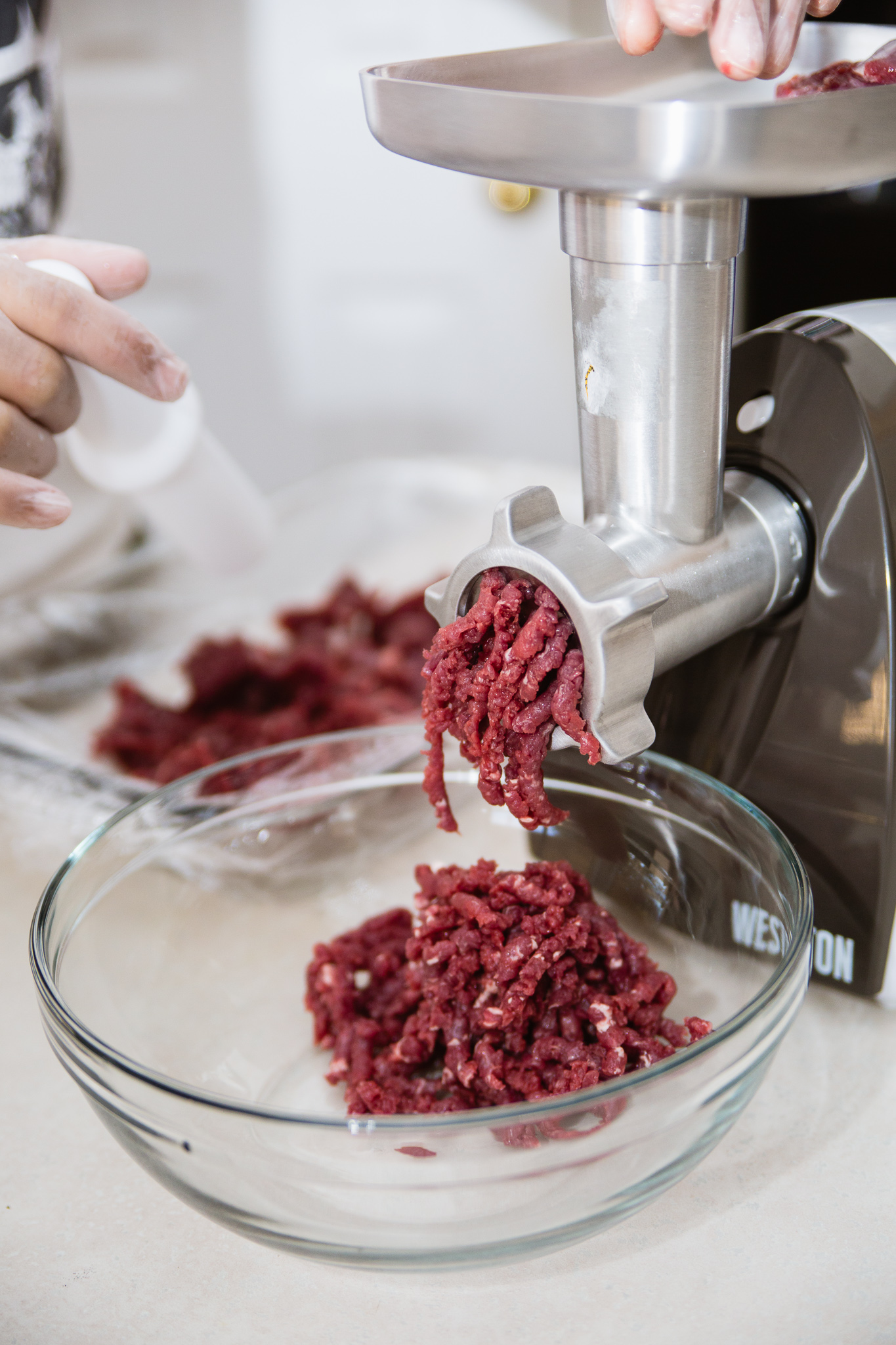 Black Bear.....The Other Red Meat Dialed In Hunter