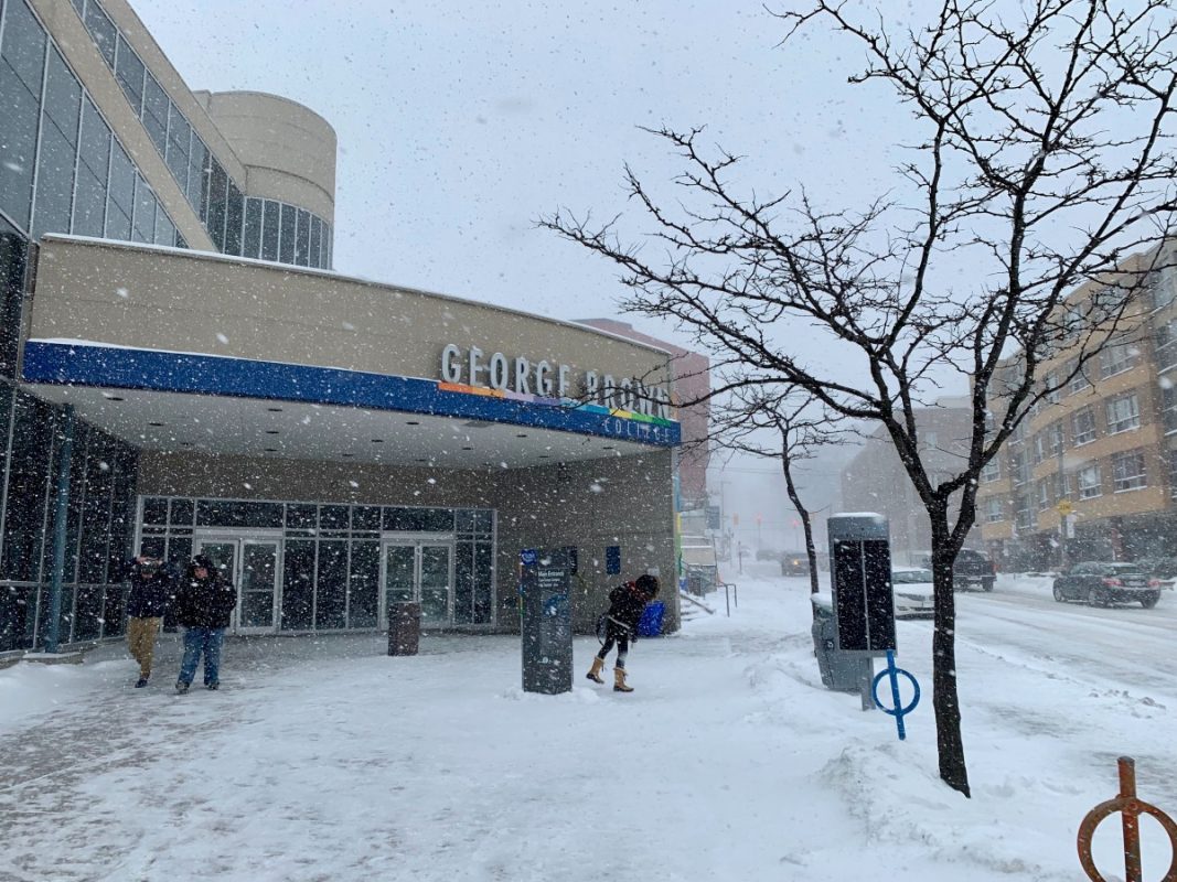 GBC to open on Tuesday after heavy snow The Dialog