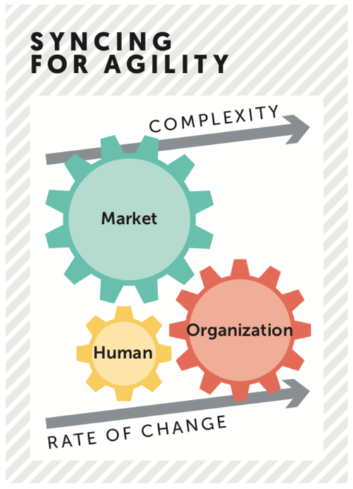 an agility architect Dialogue Review