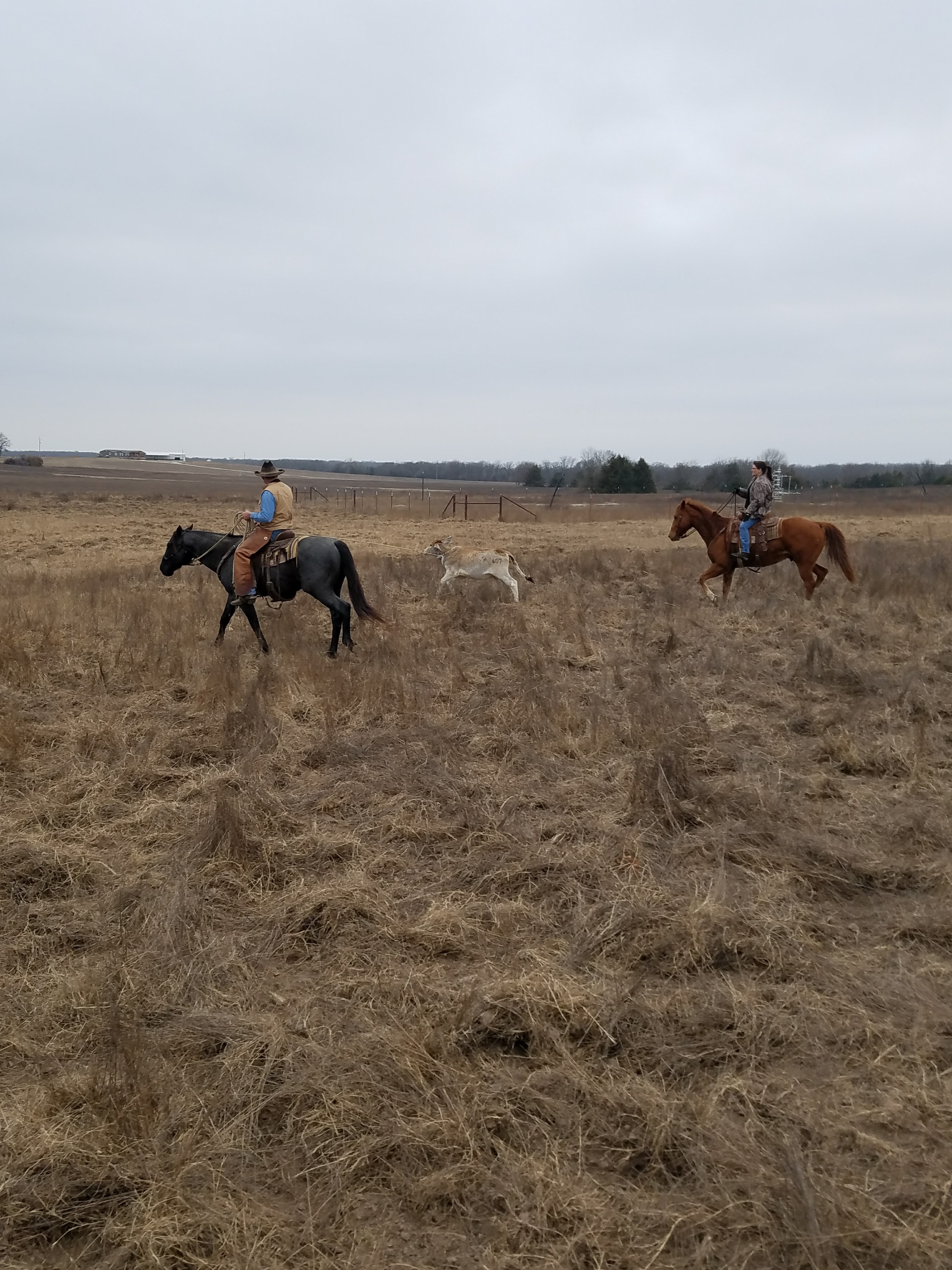 Photo Gallery Diamond B Ranch