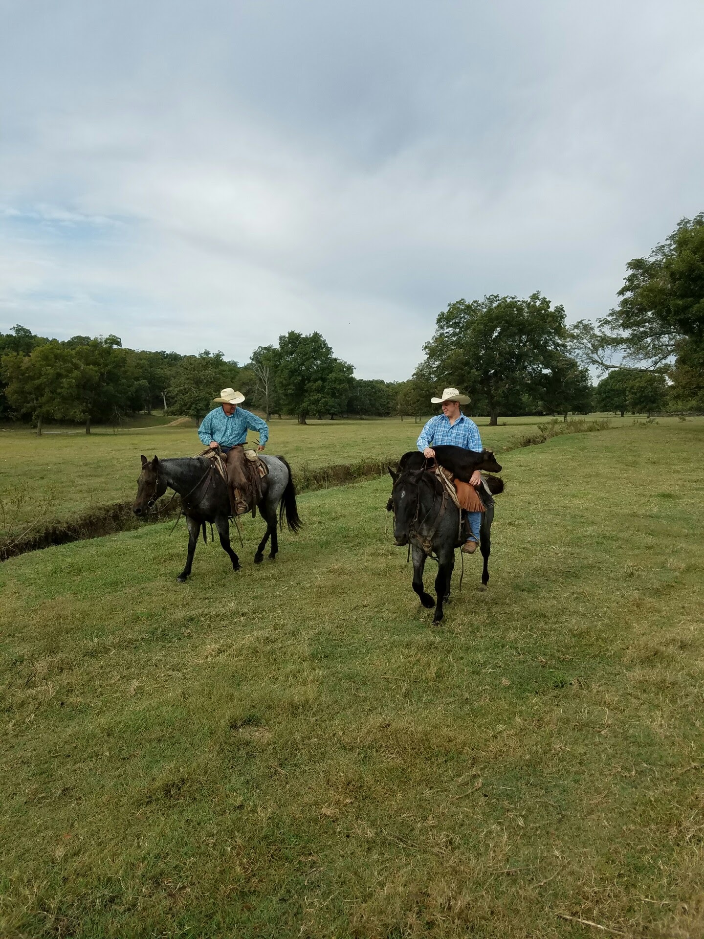Photo Gallery Diamond B Ranch