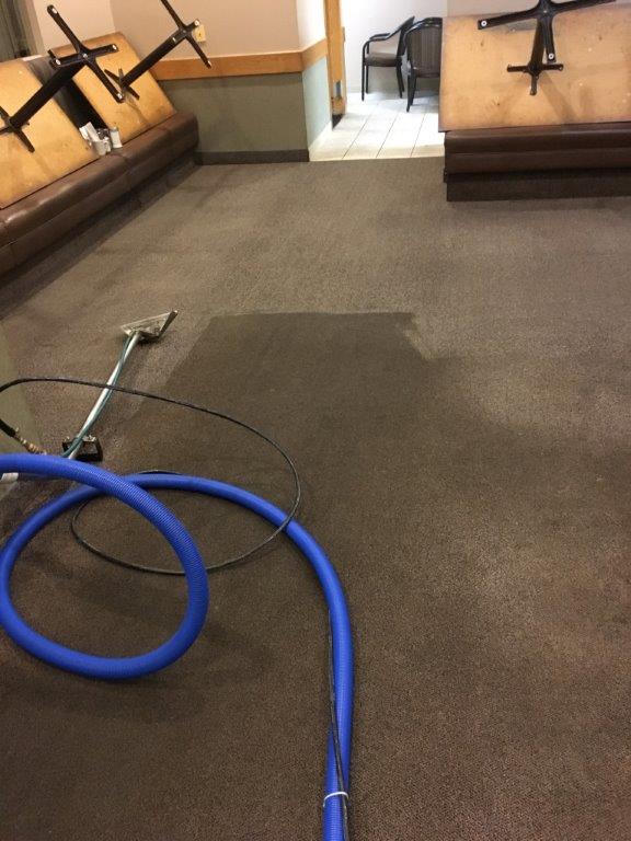 Gallery Diamond Carpet Cleaning