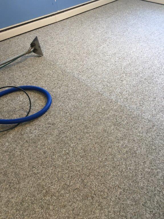 Gallery Diamond Carpet Cleaning