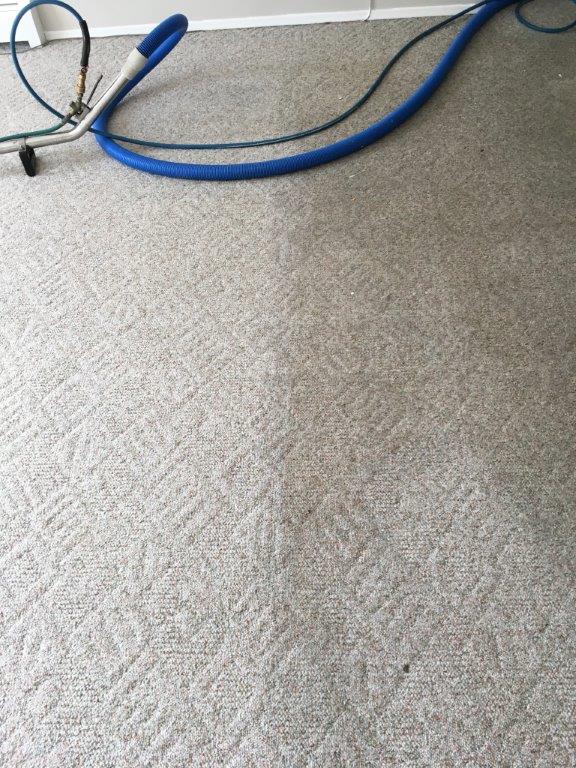 Gallery Diamond Carpet Cleaning