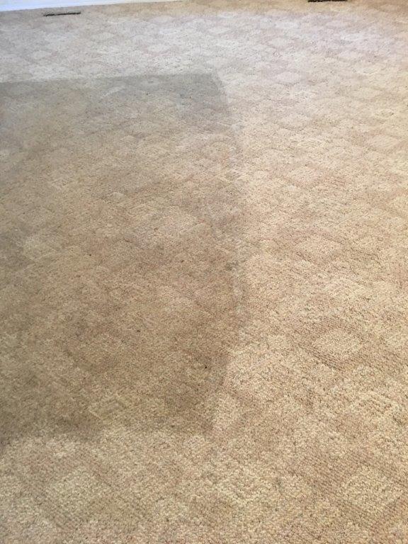 Gallery Diamond Carpet Cleaning