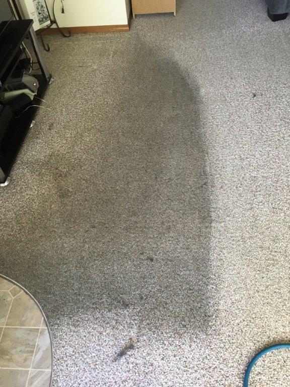 Gallery Diamond Carpet Cleaning