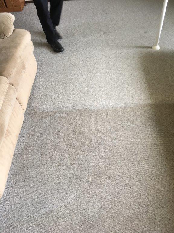 Gallery Diamond Carpet Cleaning