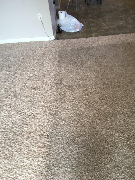 Gallery Diamond Carpet Cleaning