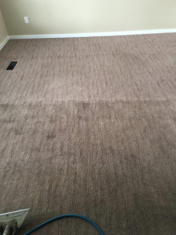 Gallery Diamond Carpet Cleaning