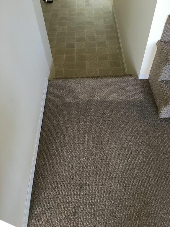 Gallery Diamond Carpet Cleaning