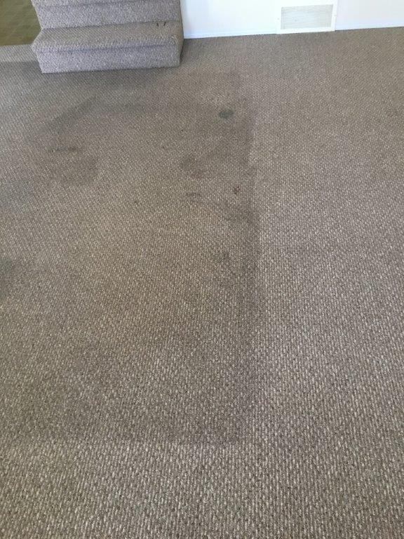 Gallery Diamond Carpet Cleaning