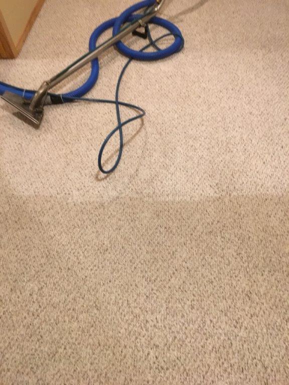 Gallery Diamond Carpet Cleaning