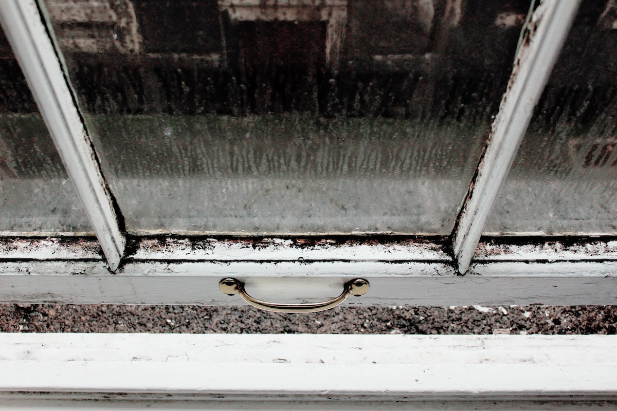 Do You Need a Mold Abatement Contractor? Diamond Certified