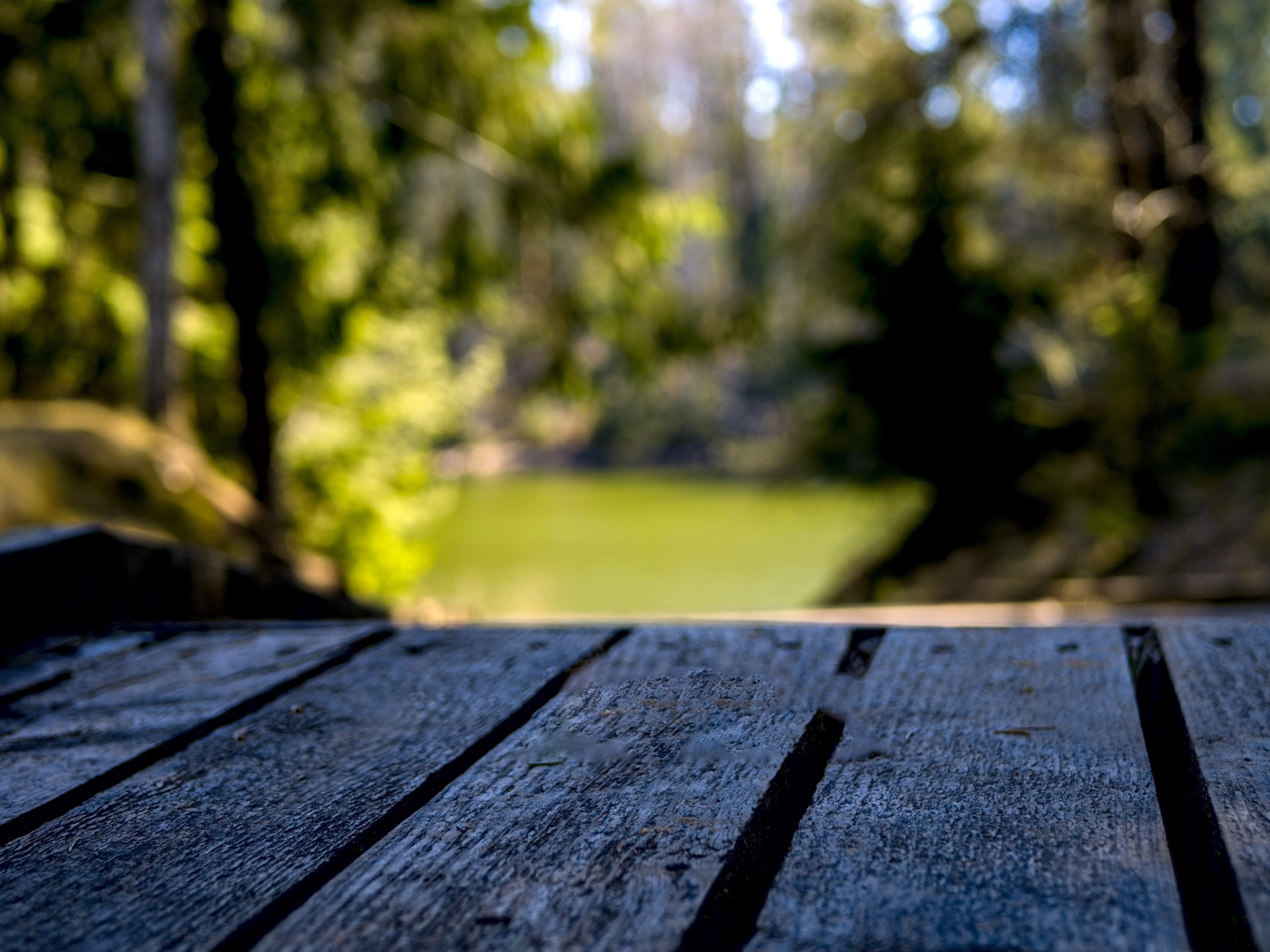 Choosing Between Real Wood and Composite Decking A Guide for Your Next