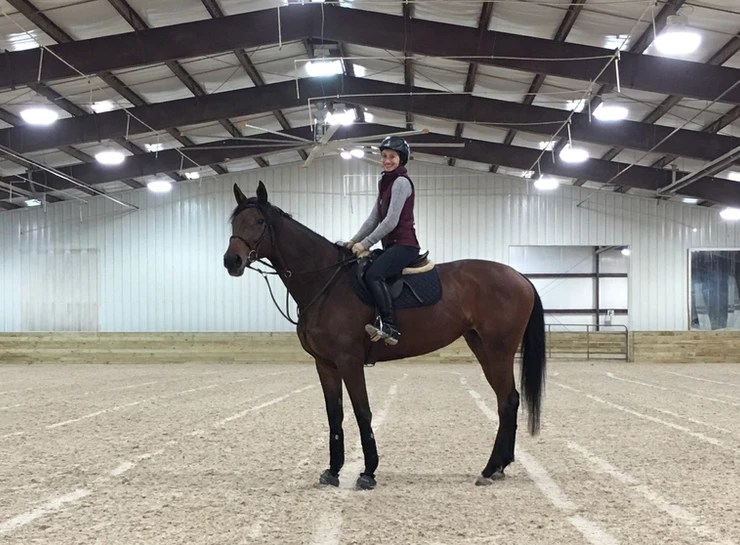 Hinckley Equestrian A ThreeRing Success Story for Diamond W