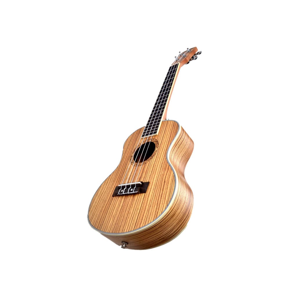 Deviser Ukulele 2665 Best Price in Bangladesh
