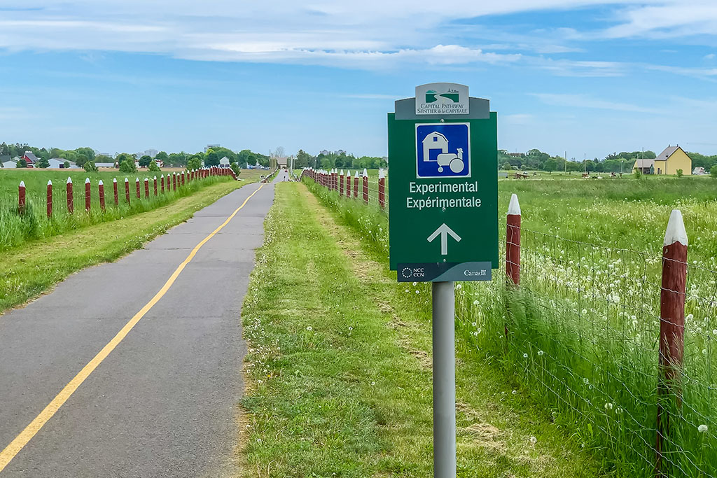 Carlington Ottawa Real Estate Agents Real Estate Listings