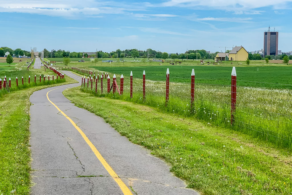 Carlington Ottawa Real Estate Agents Real Estate Listings