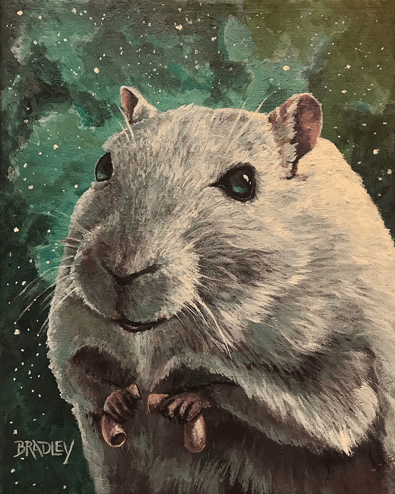 paintings diane bradley art